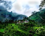 kerala tour, munnar kerala, south india hill station