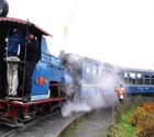 Troy Train , Himalayan Railway, Train Darjeeling, Images of Train
