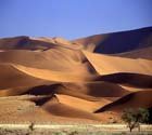 Desert Rajasthan, Rajasthan Images, Desert Picture