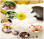 spa tour,ayurveda