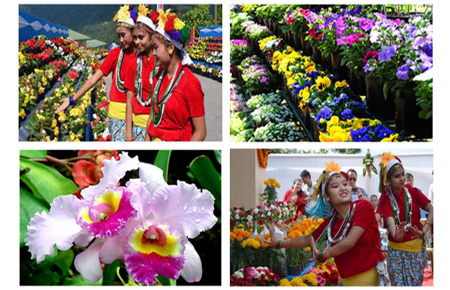 International Flower Show in Sikkim