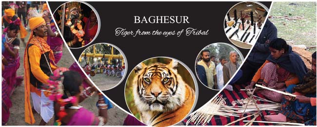 Baghesur (Tigers By Tribals)