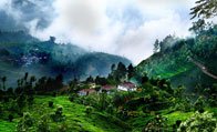kerala tour, munnar kerala, south india hill station