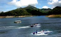 Kerala, thekkady in kerala, images of kerala, Wild life