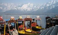 kashmir
