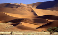 Desert Rajasthan, Rajasthan Images, Desert Picture