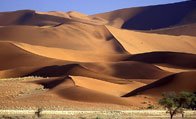 Desert Rajasthan, Rajasthan Images, Desert Picture