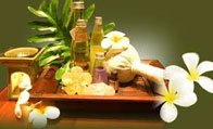spa tour,ayurveda
