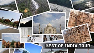Best of India Tours