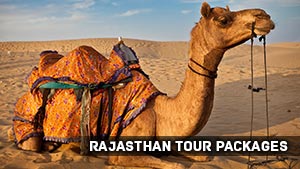 Rajasthan Holidays