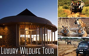Wildlife Luxury Tours